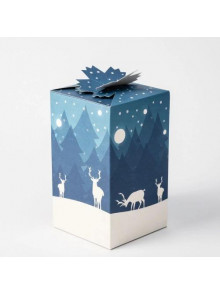 Dāvanu komlpekts 2021.12