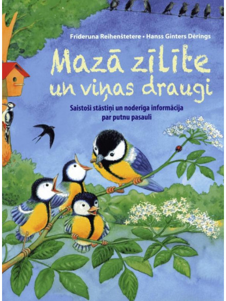 Mazā zīlīte un viņas draugi Mazā zīlīte un viņas draugi