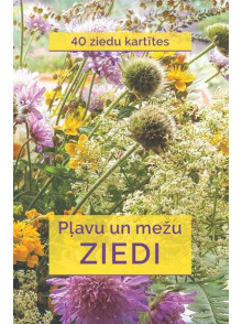 Pļavu un meža ziedi. 40 ziedu kartītes