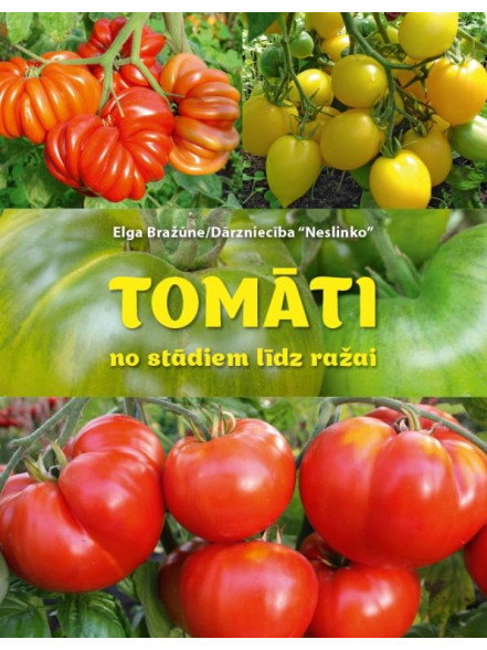Tomāti no stādiem līdz ražai  Tomāti no stādiem līdz ražai