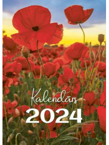 K/2024 Ar magonēm