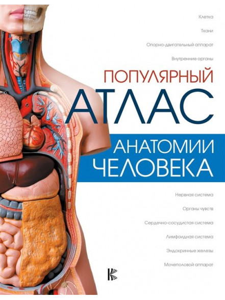 Популярный атлас анатомии человека Популярный атлас анатомии человека