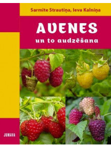 Avenes un to audzēšana Avenes un to audzēšana