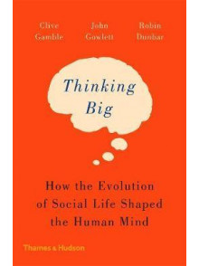 Thinking Big Thinking Big