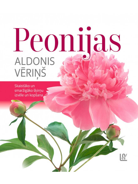 Peonijas. Skaistāko un smaržīgāko šķirņu izvēle un ko Peonijas. Skaistāko un smaržīgāko šķirņu izvēle un ko