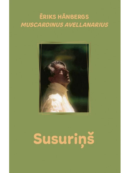 Susuriņš