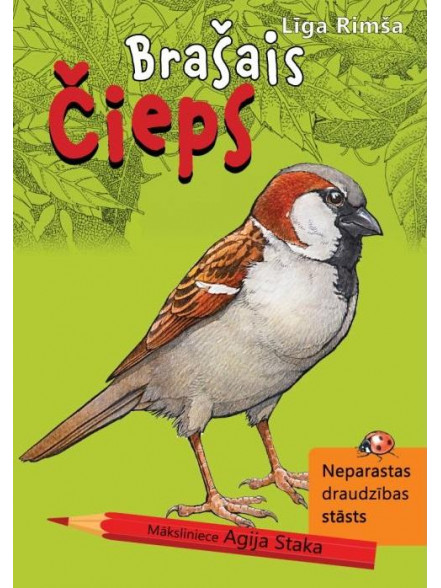 Brašais Čieps. Neparastas draudzības stāsts Brašais Čieps. Neparastas draudzības stāsts