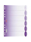 Dok.sadalītājs 6kr. violets