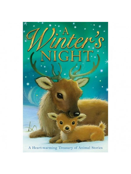 A Winter's Night: A Heart- Warming Treasury of Tales A Winter's Night: A Heart- Warming Treasury of Tales