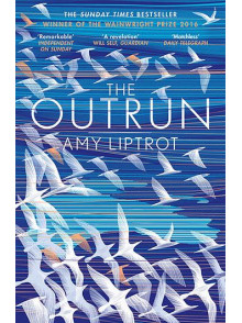 The Outrun The Outrun