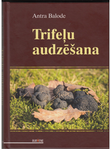 Trifeļu audzēšana  Trifeļu audzēšana