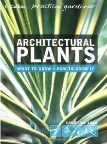 Architectural Plants: What to Grow, How to Grow Architectural Plants: What to Grow, How to Grow