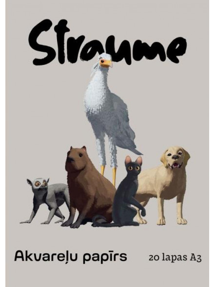 Akvareļu papīrs A3 20 lp., Straume