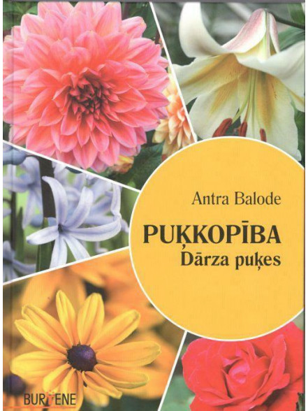 Puķkopība - Dārza puķes Puķkopība - Dārza puķes