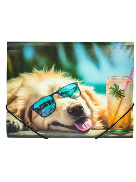 Mape ar gumiju A4, CHILLOT DOG