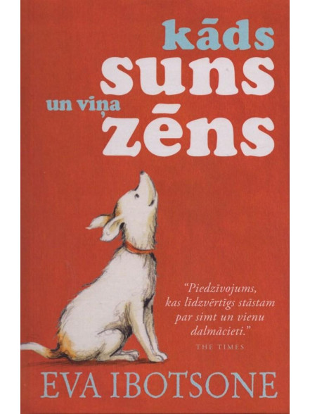 Kāds suns un viņa zēns