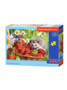 PUZZLE Castorland 260 (32x23)