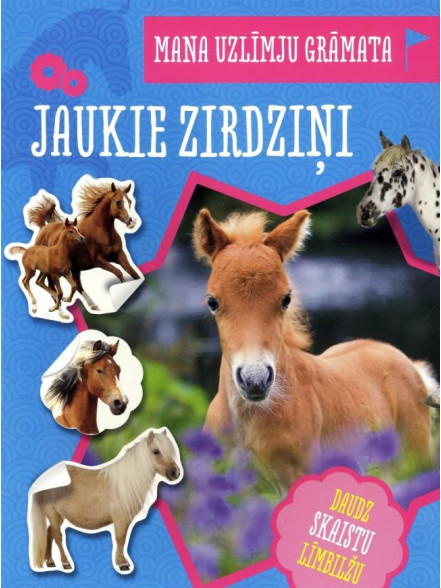 Jaukie zirdziņi. Mana uzlīmju grāmata Jaukie zirdziņi. Mana uzlīmju grāmata