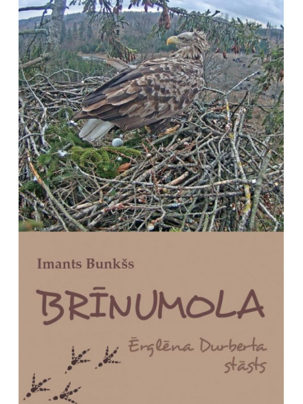 Brīnumola. Ērglēna Durberta stāsts Brīnumola. Ērglēna Durberta stāsts