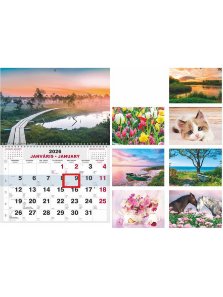 Kalendārs Mono ar spirāli A4 