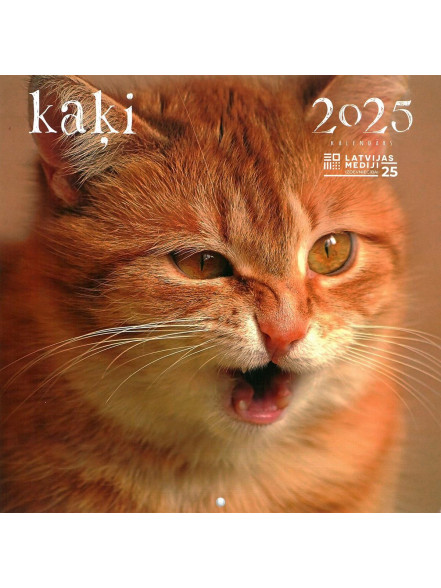 Kaķi (kvadrāts) 2025 Kaķi (kvadrāts) 2025