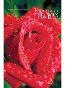 Tikai rozes ... 