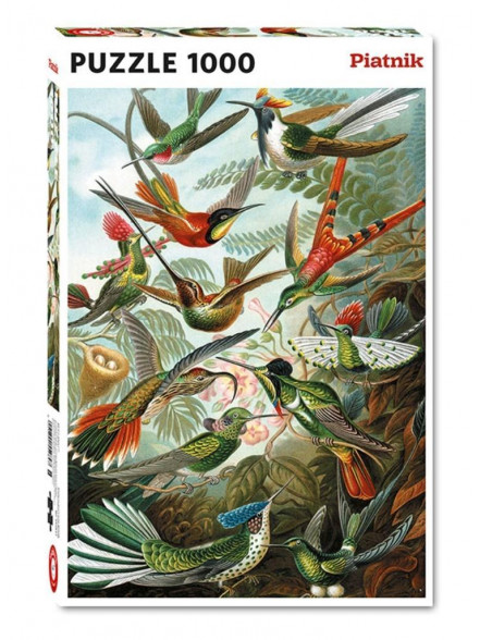 Puzzle PIATNIK 1000 Haeckel Hummingbirds