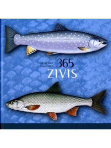 Zivis 365 