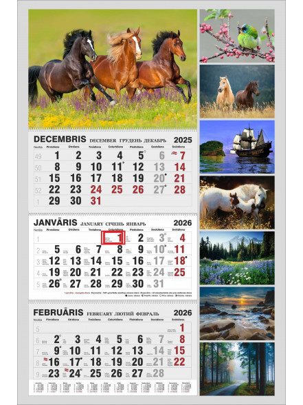 K/2026 Sienas trīsdaļīgs ar spirālēm D.Jasaičio