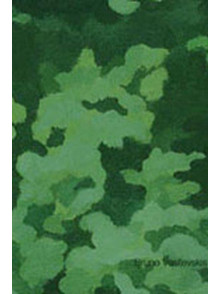 Bruno Vasiļevskis. Katalogs 