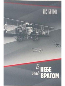 В небе над врагом