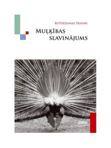Muļķības slavinājums 