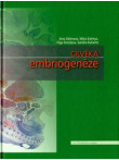 Cilvēka embrioģenēze Cilvēka embrioģenēze