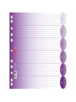 Dok.sadlītājs Colour 12 violet
