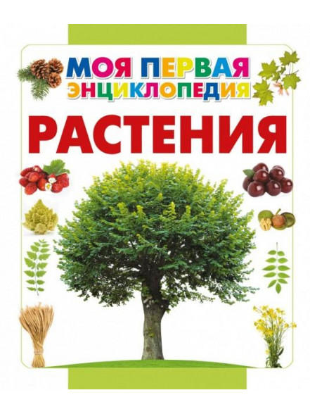 Рasтения Рasтения