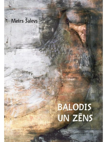 Balodis un zēns Balodis un zēns