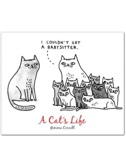 A Cats Life Quicknotes. Apsveikuma kartiņu komplekts.