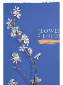 Klade 96lp 170*205mm Star UV relj.# Flower