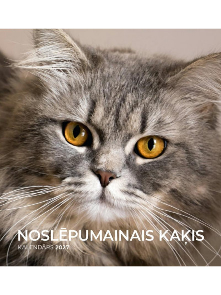 K/2027 Noslēpumainais kaķis