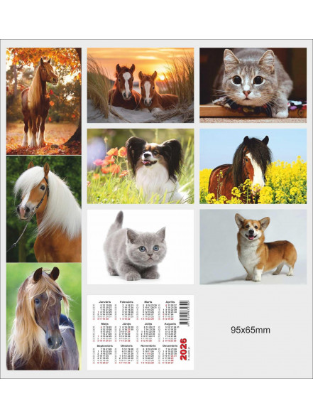 Kabatas kalendārs 2026