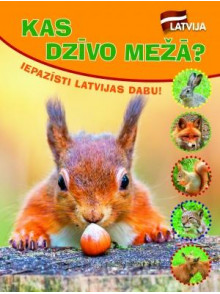 Iepazīsti Latvijas dabu! Kas dzīvo mežā? Iepazīsti Latvijas dabu! Kas dzīvo mežā?