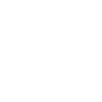 Top 8