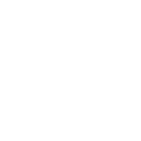 Top 5